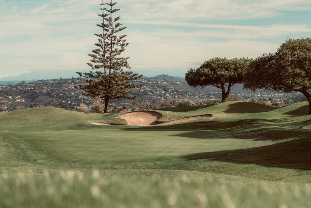 Golf Course View with Trees