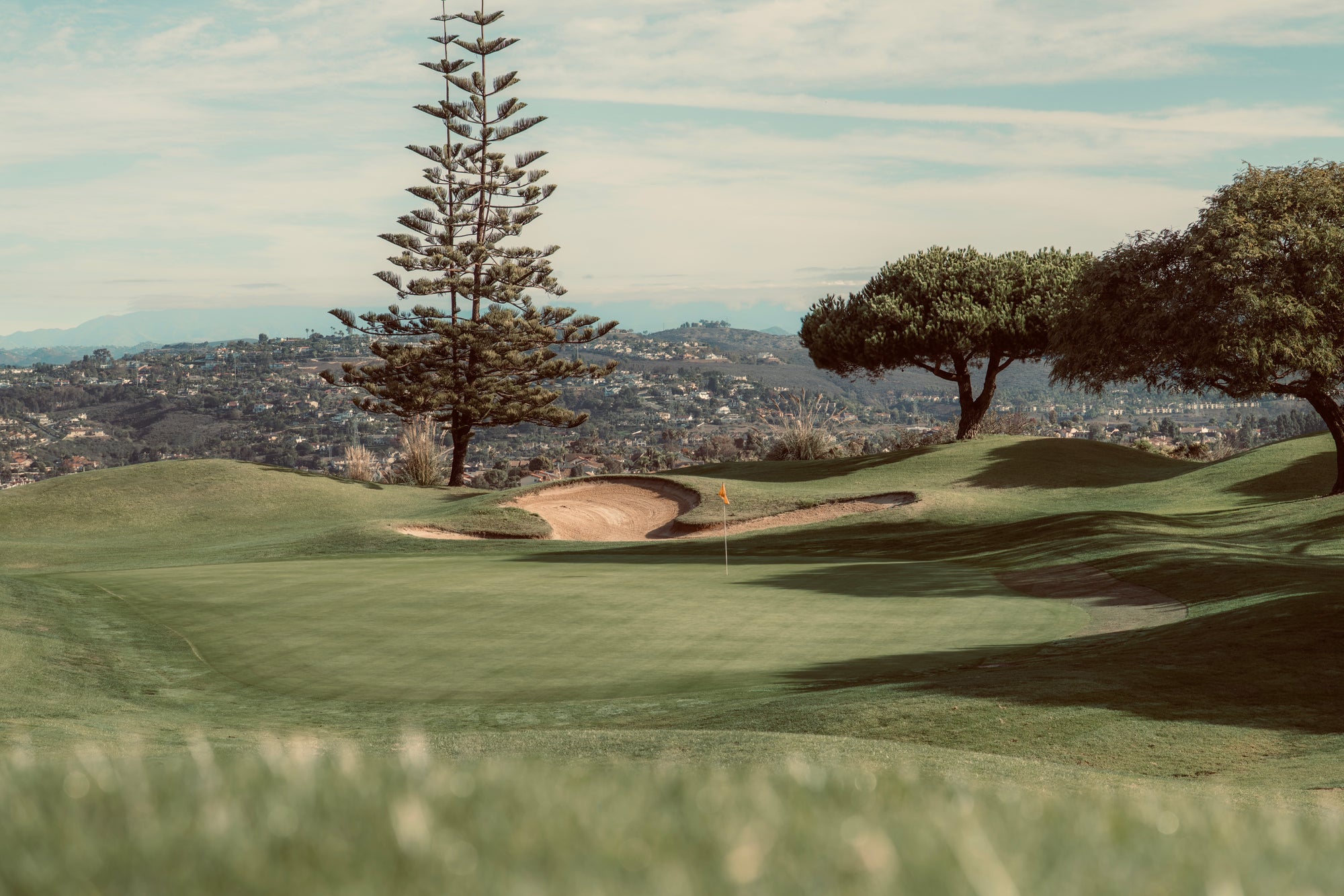 Golf Course View with Trees